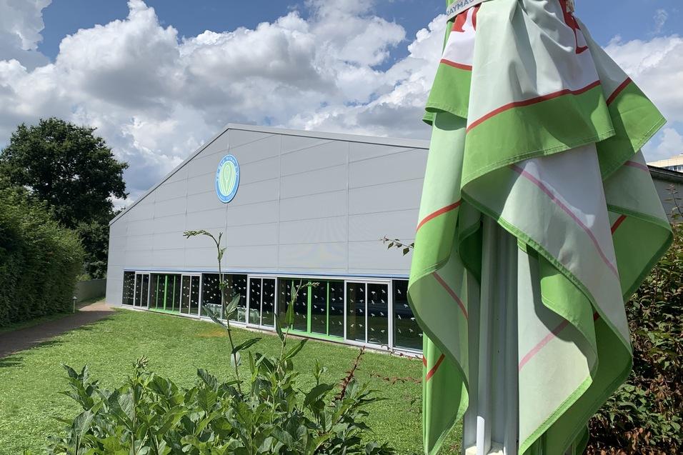 Ansicht eines modernen Geb&auml;udes mit gro&szlig;en Fenstern, im Vordergrund ein Sonnenschirm auf einer Grasfl&auml;che.