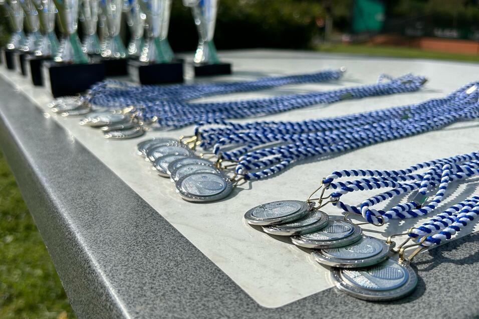 Troph&auml;en und Medaillen mit blauen B&auml;ndern auf einem Tisch im Freien, hinterlegt von gr&uuml;nem Gel&auml;nde und blauem Himmel.